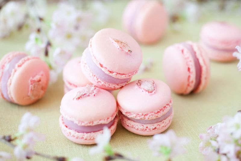 sakura macaron